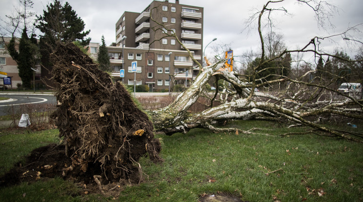 Több tartományban helyi és regionális vasútjáratok álltak le /Foto: AFP