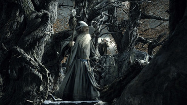 "Hobbit: Pustkowie Smauga": rekordowy wynik otwarcia w polskich kinach