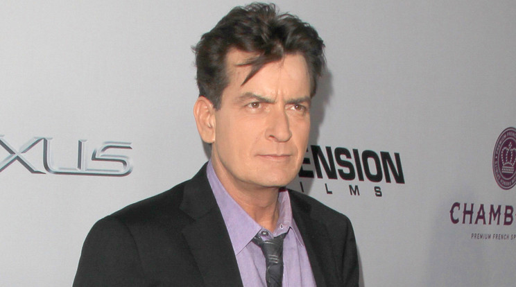 Charlie Sheen könyvet írna /Fotó: Northfoto