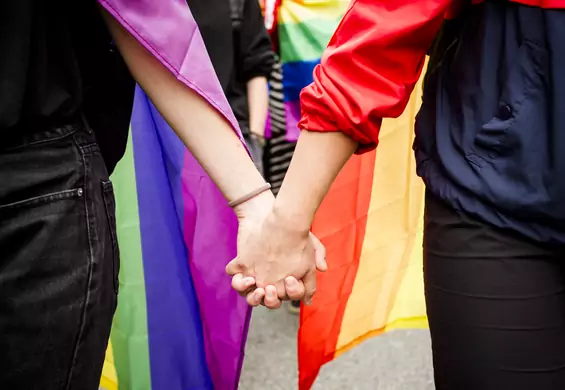 Będzie jak na Węgrzech? Minister Wójcik chce zakazu promocji LGBT w Polsce