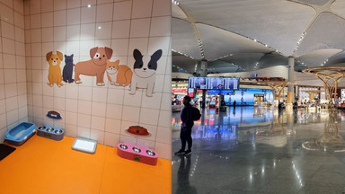 Tak wygląda pokój dla zwierząt na tureckim lotnisku. To nie wszystko