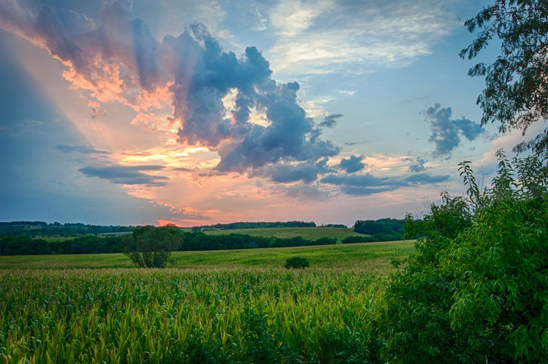 Marne Iowa, źródło: theplaidzebra