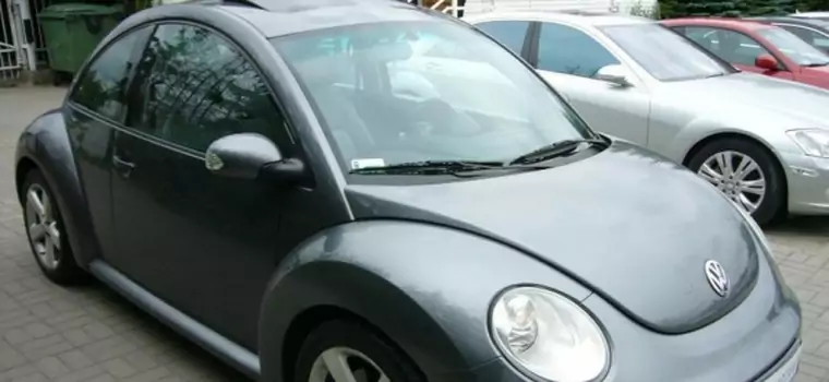 Volkswagen New Beetle: pudernica na bazie Golfa