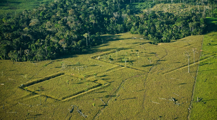 Az Amazonas dzsungelében több tízezer jelentős emberi építmény is el lehet rejtve. A Kolumbusz előtti időkben több millió ember is élhetett a területen, akik számos földvárat és azokat összekötő utakat hagytak hátra. / Fotó: Maiuricio de Paiva/oeco.org.br