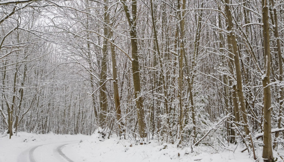 Havazott a Kőszegi-hegységben /Fotó: Northfoto