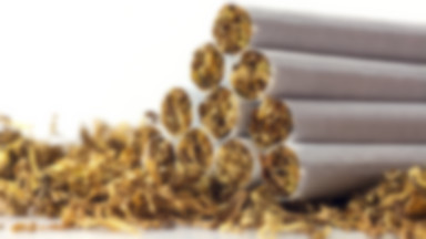 Śląsk: celnicy przejęli nielegalny tytoń o wartości 1,4 mln złotych