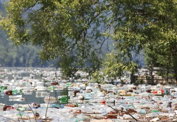 Więcej plastikowych butelek niż ryb w oceanach - taki smutny scenariusz eksperci przewidują do 2050 roku