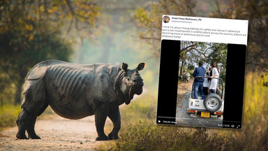 Nosorożce zaatakowały samochód z turystami w Indiach [WIDEO]