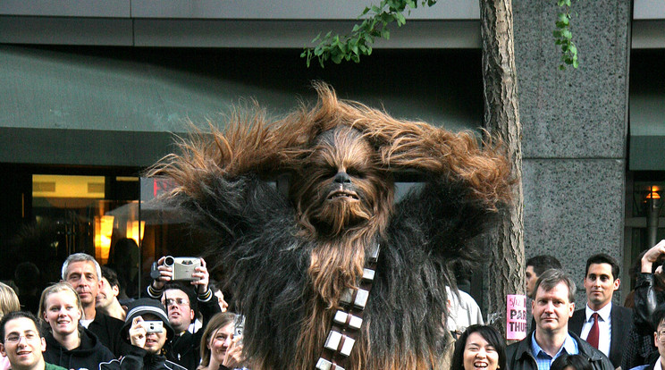 40 év után lecserélik Chewbacca-t /Fotó: Northfoto