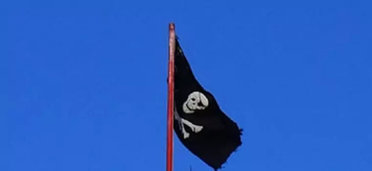 Szwedzcy piraci stronią od polityki
