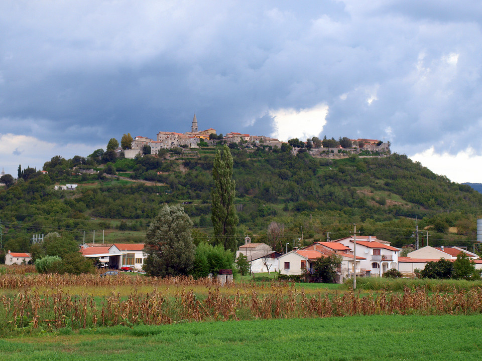 Buzet