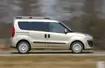 Fiat Doblo: Szminkowany van