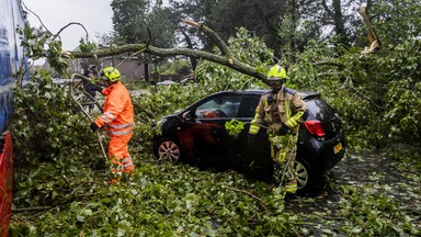 Czerwony alert w Holandii. Burza Poly sieje spustoszenie