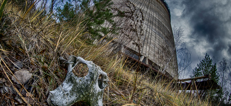 Koniec ery Czarnobyla