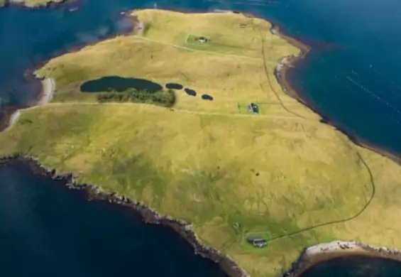Szkocka wyspa w cenie mieszkania w Londynie. Jest zasiedlona wyłącznie przez owce
