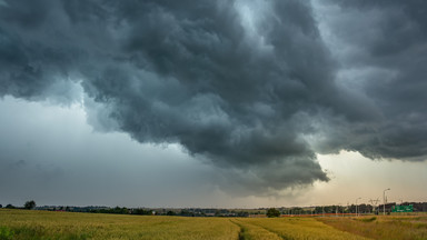 Debata Onetu i WWF Polska. "To człowiek jest odpowiedzialny za postępującą zmianę klimatu"