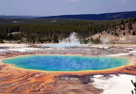 Szum fal i czkawka ryby w formacie MP3. Biblioteka nagrań z Parku Yellowstone dostępna za darmo