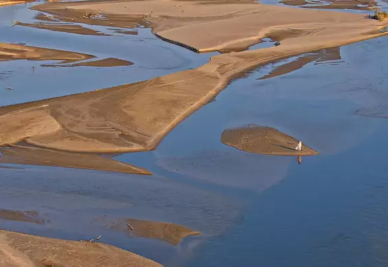 "Woda sięgała do połowy łydek". Powietrzni fotografowie zrobili film o wysychającej Wiśle