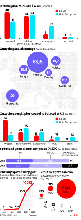 Rynek gazu w Polsce i w UE