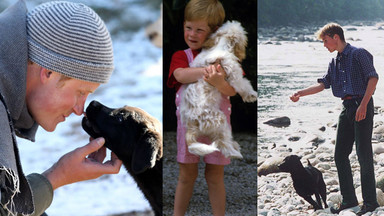 Karol, William i Harry - książęta kochają psy
