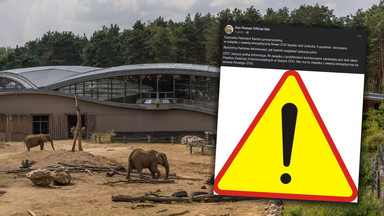 Poważna awaria w zoo w Poznaniu. Atrakcja zamknięta dla zwiedzających