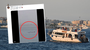 Atak rekina w Egipcie. Z żołądka żarłacza wydobyto szczątki 23-latka