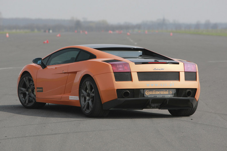 Test Lamborghini Gallardo: dzielny byk