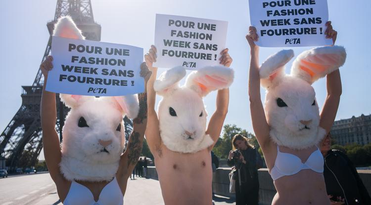 Elképesztő módon tüntetett a PETA a Párizsi Fashion Week-en