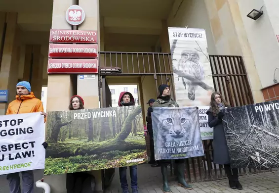 "To pomyłka". Sejm odrzucił poprawkę utrudniającą ekologom udział w postępowaniach administracyjnych
