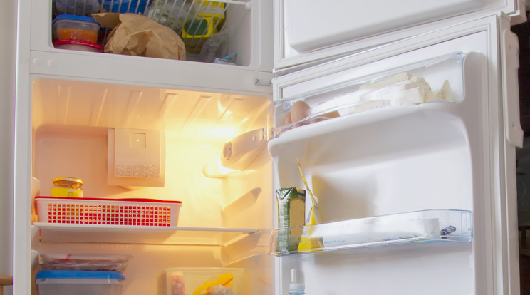 Akár 45 ezer forint ingyenpénz is jár egy ilyen hűtőért / Fotó: Shutterstock
