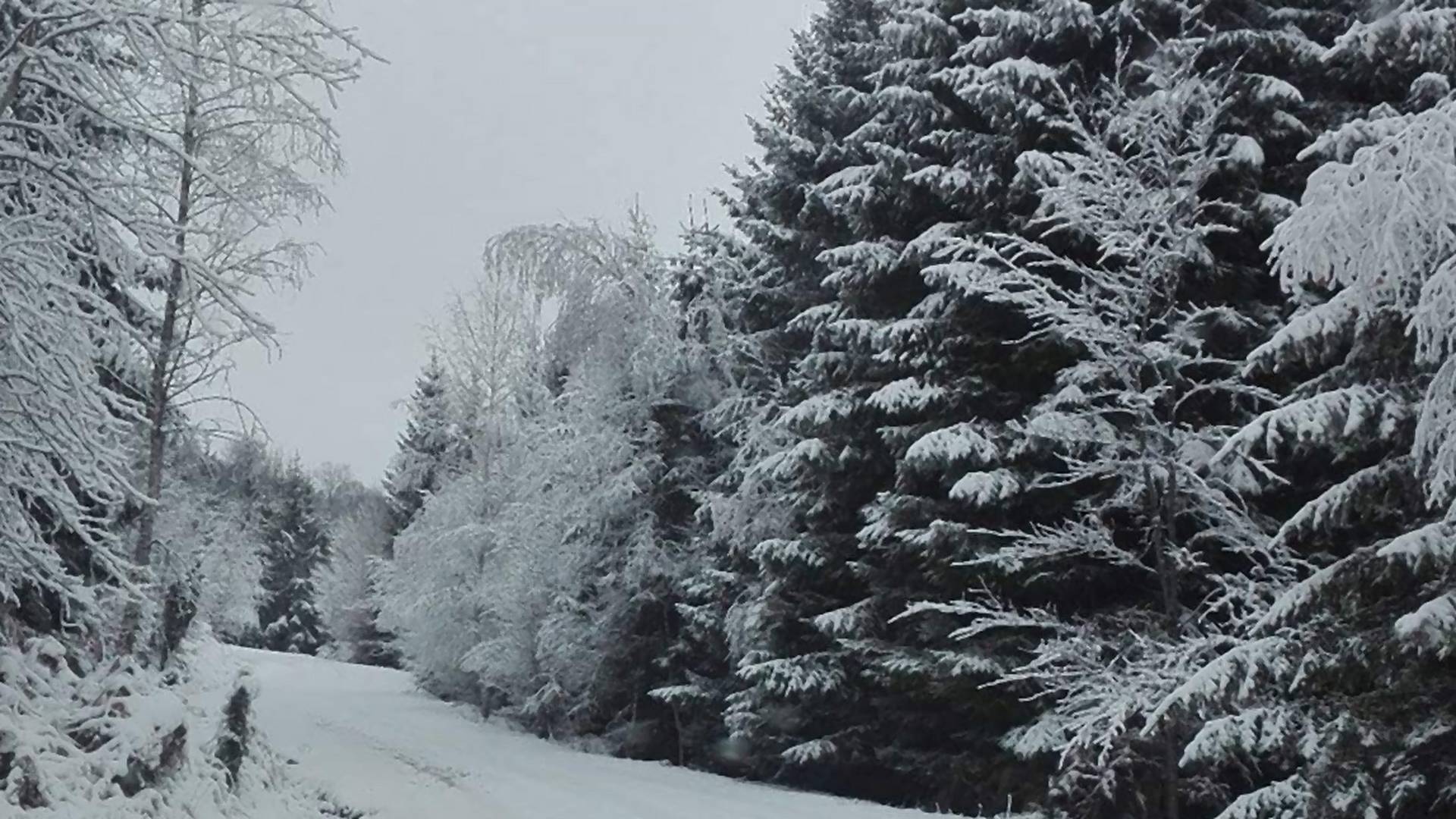 Srbija se zabelela posle prvog snega