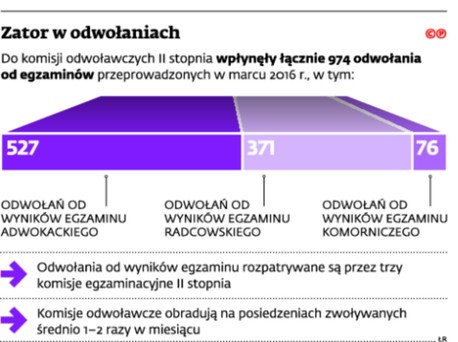 Zator w odwołaniach