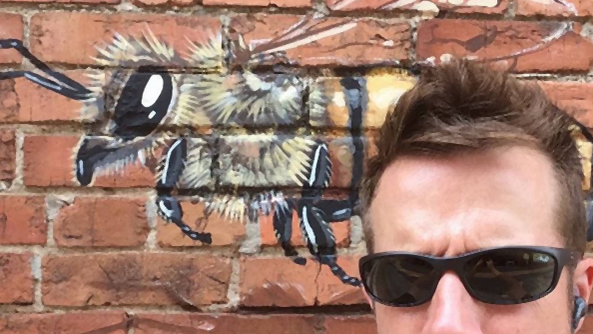Umetnik putuje po svetu da bi slikao pčele po zidovima