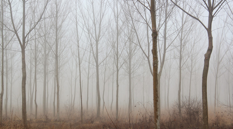 Köd, pára, zúzmara: a szmog mellett ezektől is tartanunk kell még egy darabig /Illusztráció: Northfoto