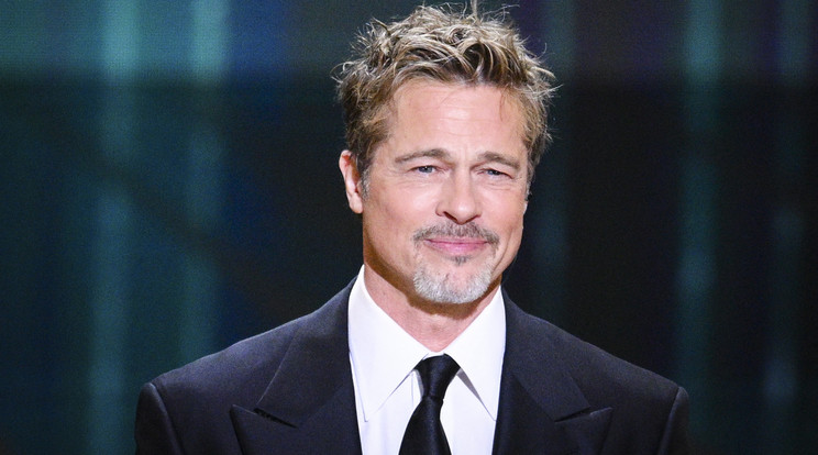 Brad Pitt megint nagyon alkot, csak ezúttal nem a filmek terén /Fotó: Northfoto