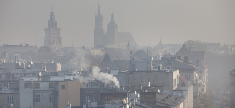 Walka ze smogiem. W Krakowie od 1 września całkowity zakaz palenia drewnem i węglem