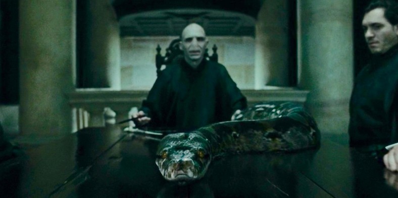 Nagini Voldemort 