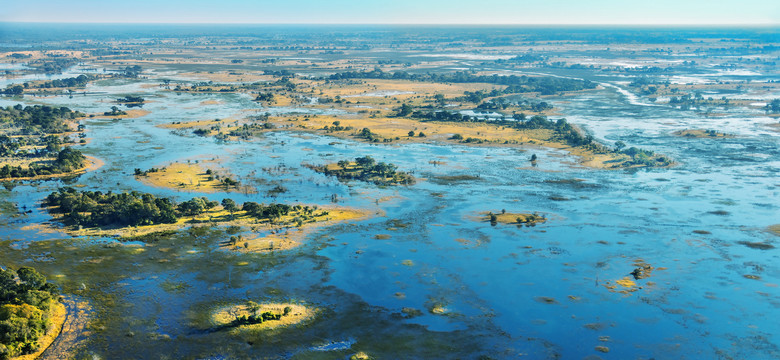 Niezwykłe królestwo zwierząt - delta Okavango