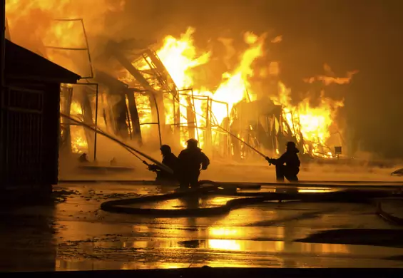 Przedstawiciele tych 10 zawodów najczęściej tracą życie w pracy