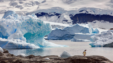 Antarktyczny szelf lodowy traci 7,5 biliona ton masy