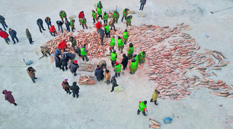A halászok óriási mennyiségű halat akarnak fogni idén / Fotó: AFP