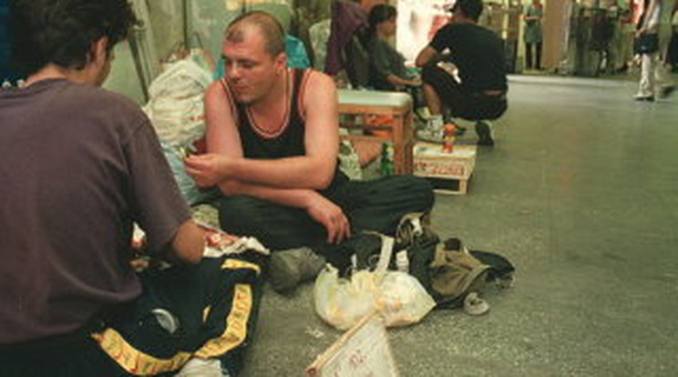 Minisztériumi szakértő lett a hajléktalan