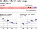 Na polskim rynku LPG rządzi autogaz
