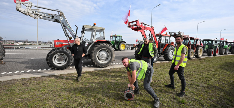 Rolnicy pomstują na Zielony Ład. Ekspert: jest jedno "ale"