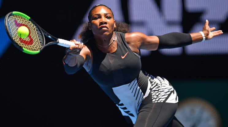 Serena Williams pocakosodik /Fotó: AFP