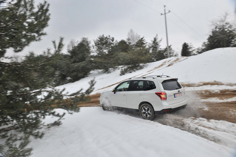 Toyota RAV4 kontra Ford Kuga i Subaru Forester: porównanie najnowszych SUV-ów na rynku