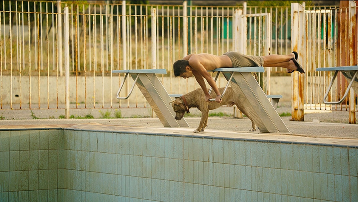 Diagnostyczny wobec współczesnej Grecji, obnażający ją i momentami bezlitosny. Taki jest "Park", debiut Sofii Excharchou. Greczynka o swoim kraju opowiada gorzko, nie lukruje rzeczywistości. Odwrotnie - pokazuje to, czego nie przeczytamy w przewodnikach, nie znajdziemy w pobliżu kurortów. Sprawy, o których zarówno grecki rząd, a i część społeczeństwa wolała nie wiedzieć czy udawać, że ich nie ma. Widać to było szczególnie wtedy, gdy - niczym bomba z opóźnionym zapłonem - wybuchł grecki kryzys.