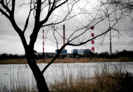 Walizkę z ciałem pokazano w telewizji. Brutalna sprawa z czasów PRL