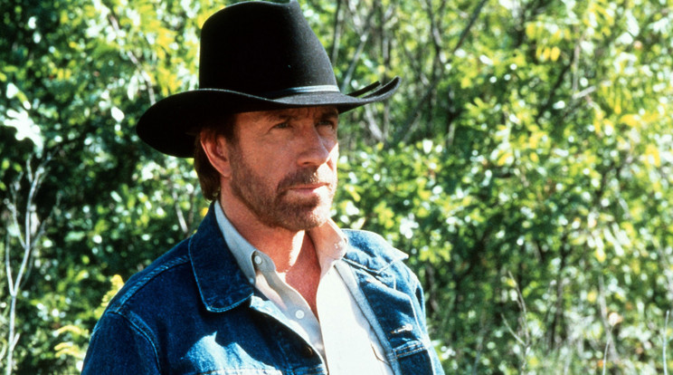 Chuck Norris mint Walker, a Texasi kopó /Fotó: Northfoto