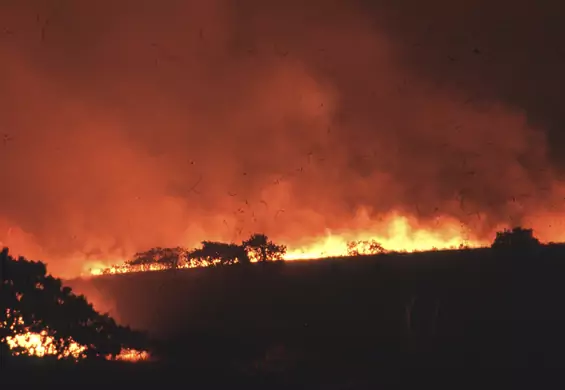 Nowy raport IPCC. Albo szybko zmienimy system, albo czeka nas więcej pożarów i powodzi